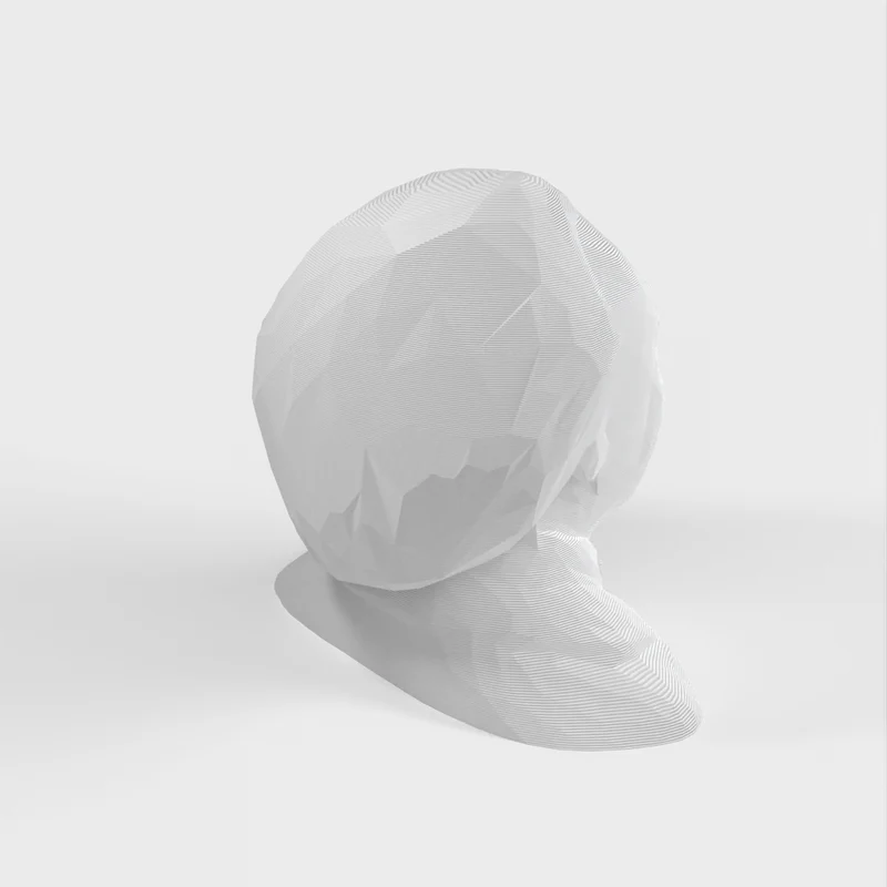 Low Poly Albert Einstein Buste/Sculpture