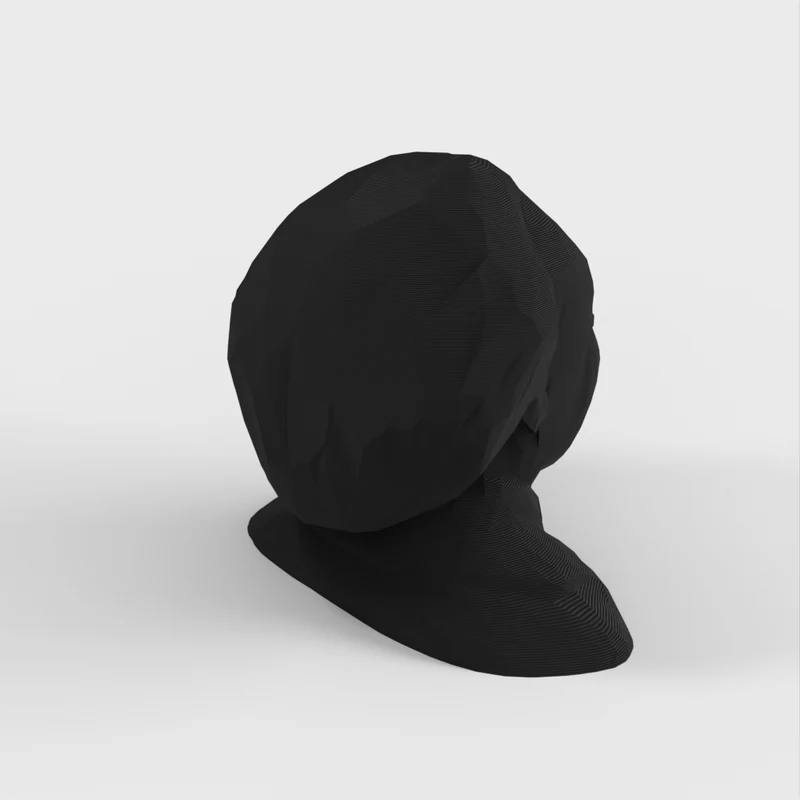 Low Poly Albert Einstein Buste/Sculpture